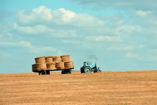 Регионы России могут остаться без урожая: виной всему — аномально теплая осень Регионы России могут остаться без урожая: виной всему — аномально теплая осень
