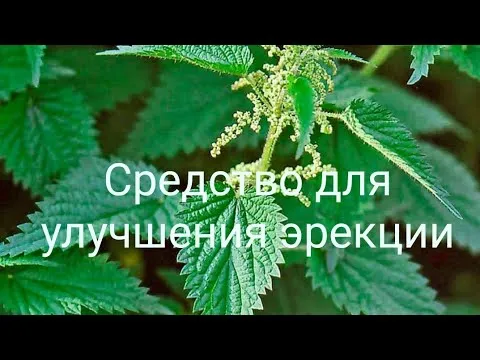 Нажми и смотри