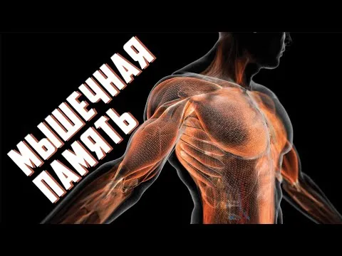 Нажми и смотри