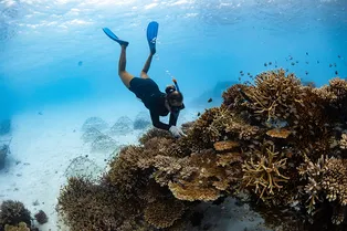 Где отдыхать на Мальдивах: остров, на котором праздник всегда с тобой Где отдыхать на Мальдивах: остров, на котором праздник всегда с тобой
