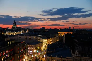 Экологические тренды лета: от вечеринки до корма для питомцев Экологические тренды лета: от вечеринки до корма для питомцев
