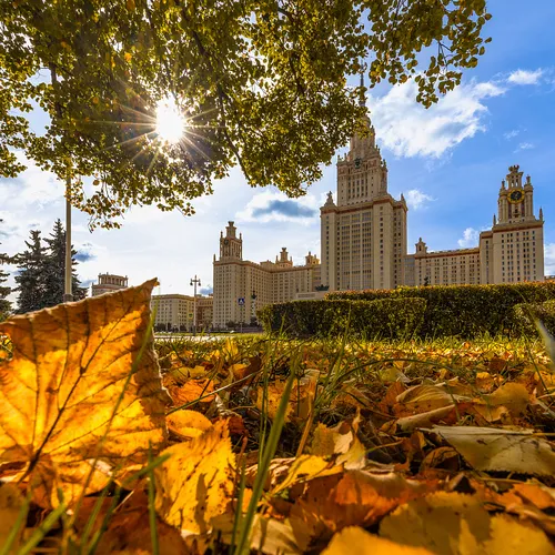 Бабье лето продолжается: погода и магнитные бури в Москве 21 октября