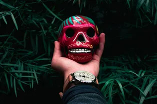 Израильские ученые нашли останки не изученного ранее вида людей Израильские ученые нашли останки не изученного ранее вида людей