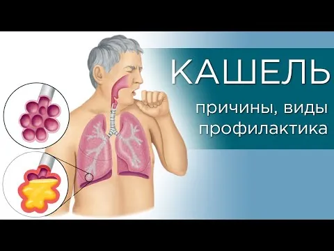 Нажми и смотри
