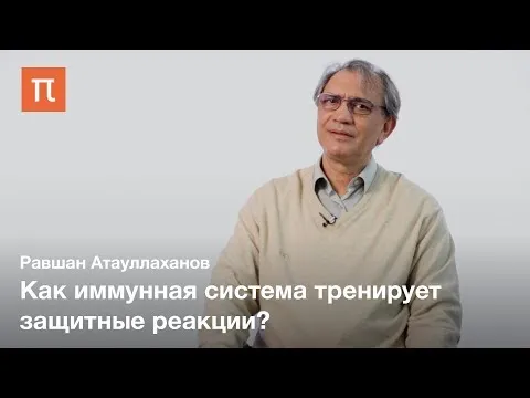 Нажми и смотри