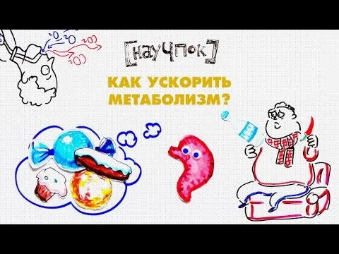 Нажми и смотри Нажми и смотри