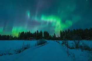 Готовим камеры: к Земле летят два солнечных выброса, обещающих северное сияние в средних широтах России