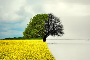 Из тепла в холод и обратно: почему в России такая непредсказуемая погода