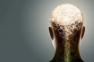 Правда ли, что нервные клетки не восстанавливаются?