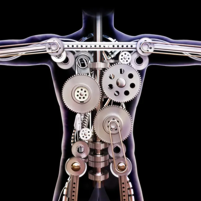 Раскачать метаболизм: 5 эффективных упражнений