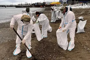 Курортного сезона не будет? Как разлив мазута в Черном море повлияет на туризм
