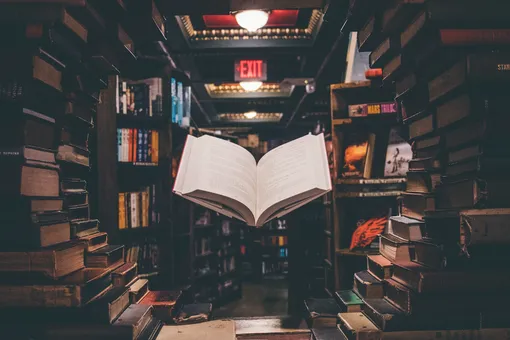 Вы часто читаете книги? Сейчас проверим: сможете узнать эти шедевры русской литературы по одной цитате?