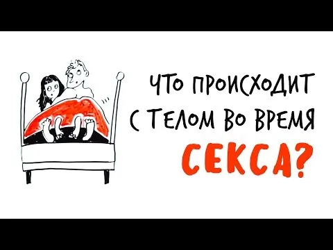 Нажми и смотри