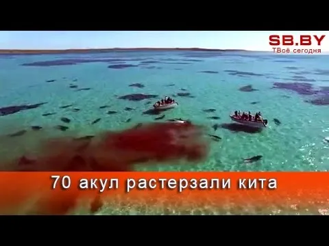 Нажми и смотри