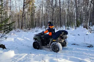 В Красноярском крае возобновили поиски семьи Усольцевых: их сын уверен, что родители живы