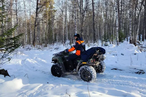 В Красноярском крае возобновили поиски семьи Усольцевых: их сын уверен, что родители живы